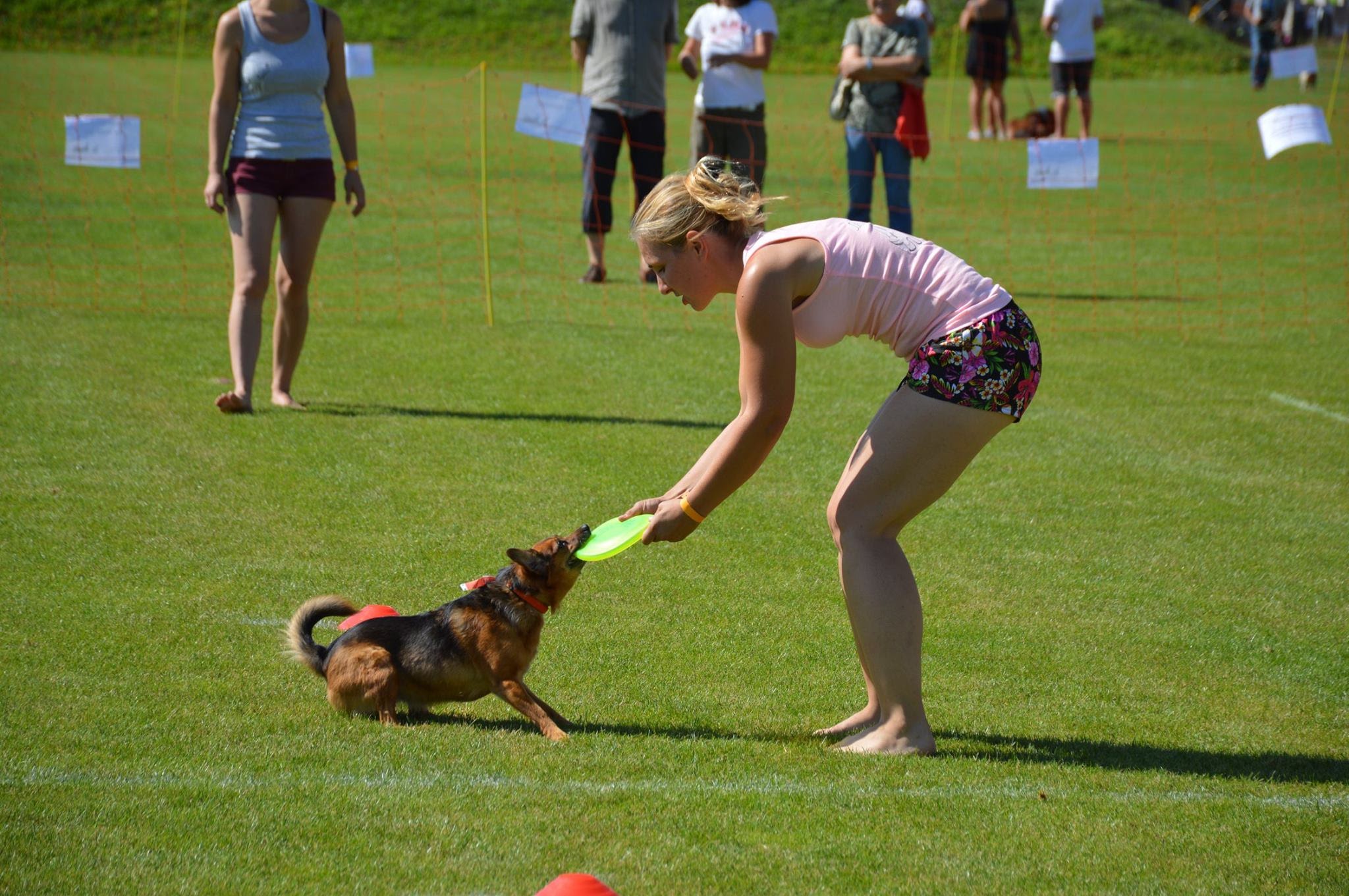 Ergebnisse und Fotos vom Dogfrisbee Fun Turnier am 1. Hundetag Korneuburg 2015